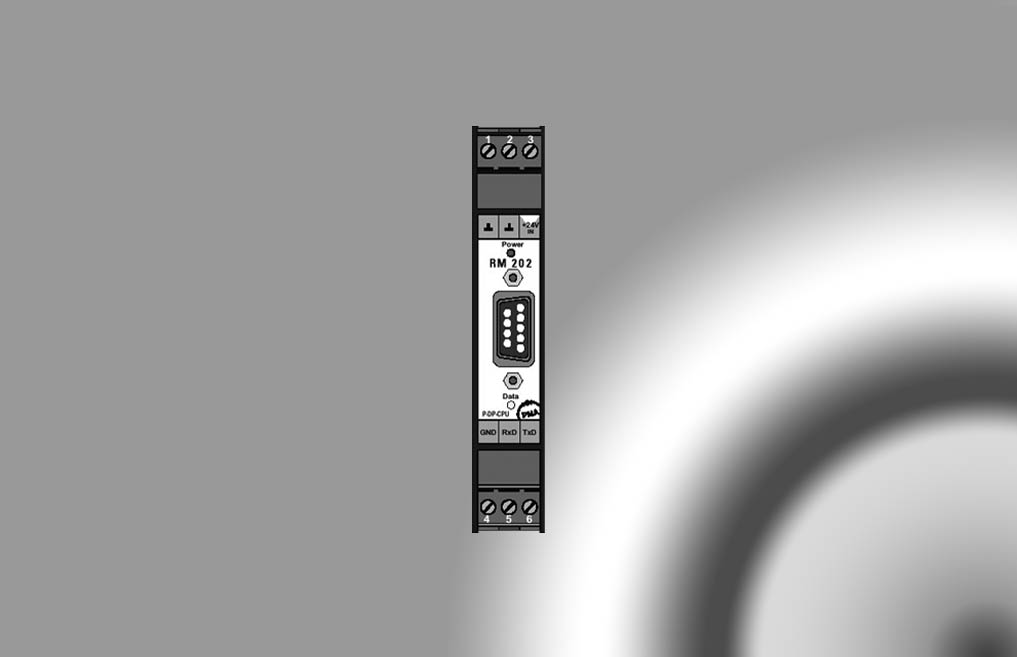 RM 202